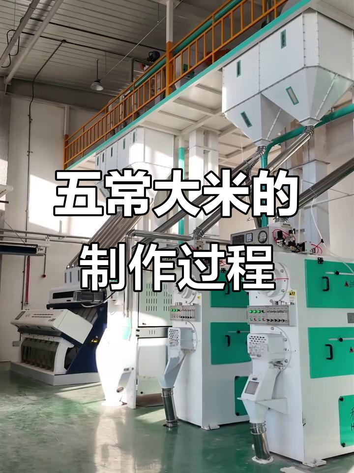 五常大米加工全流程揭秘:从稻谷到成品的精细工艺