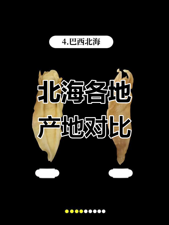 北海不同产地品种大揭秘,苏里南北海到墨西哥小北海全解析