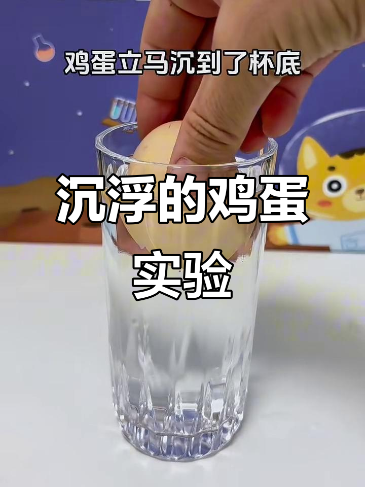 盐水中鸡蛋浮起来了,科学小实验揭秘原理