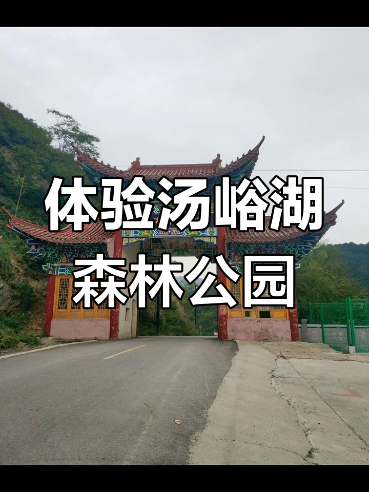 探秘汤峪湖森林公园,感受自然与休闲的完美结合