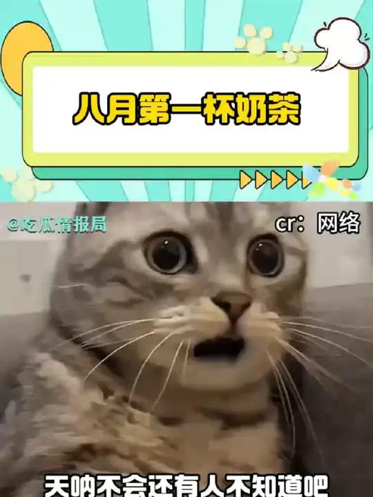 八月第一杯奶茶,当然要由颜值最高的人请客,好闺闺你最好看了