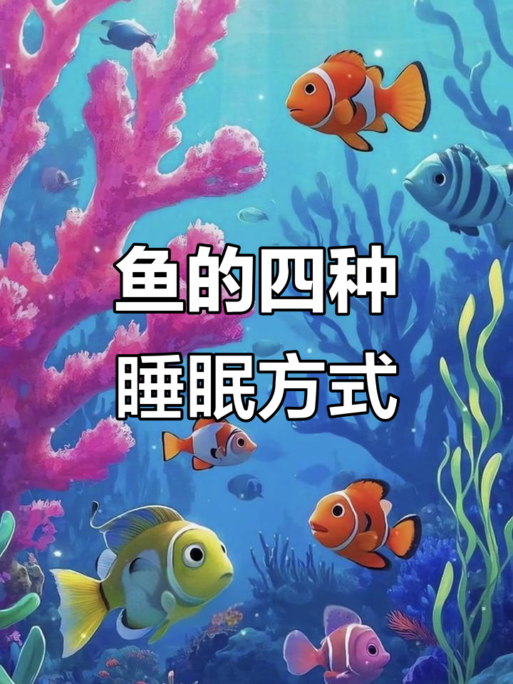 鱼怎么睡觉？四种神奇睡姿大揭秘