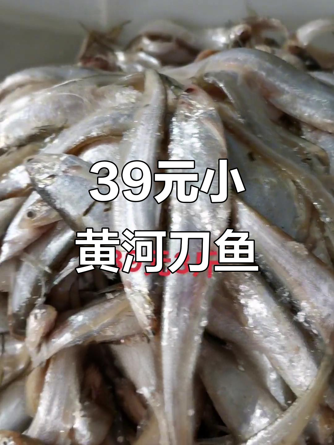 小黄河刀鱼干炸,39元三斤超值美味