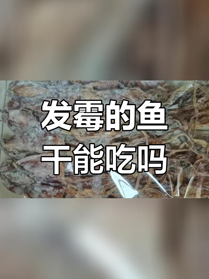 墨鱼干还是鱿鱼干?发霉了还能吃吗