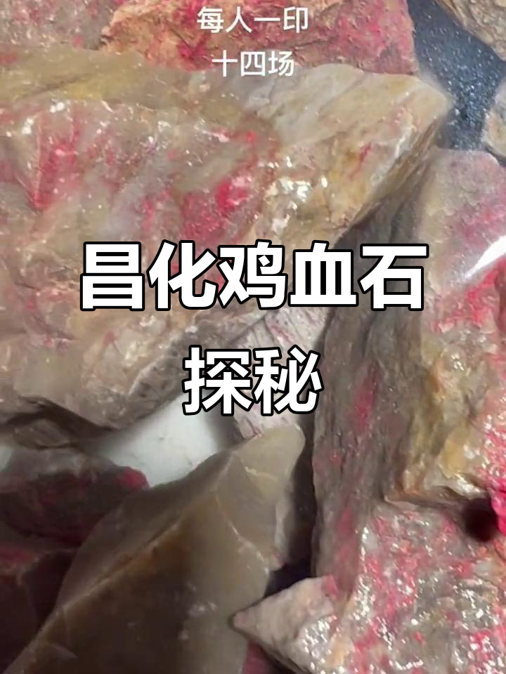 昌化鸡血石原石的发现与艺术之美,探索快乐之旅