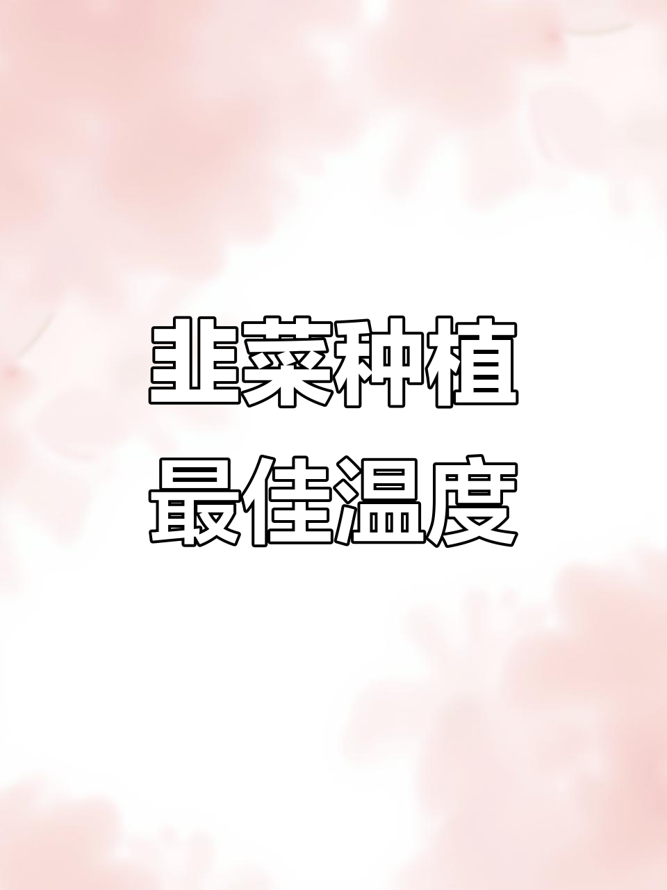 韭菜生长温度全解析:从发芽到采收的适宜环境