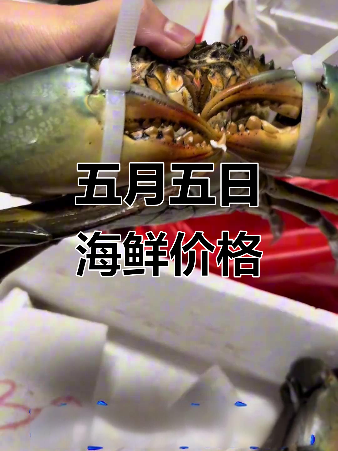 福建海鲜市场大揭秘:五月五日行情与美食全纪录