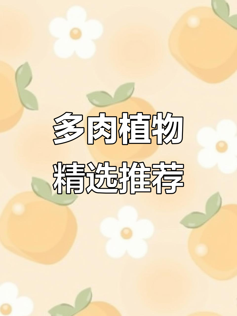 雪天使、嫦娥与橙梦露:秋丽家多肉植物大揭秘