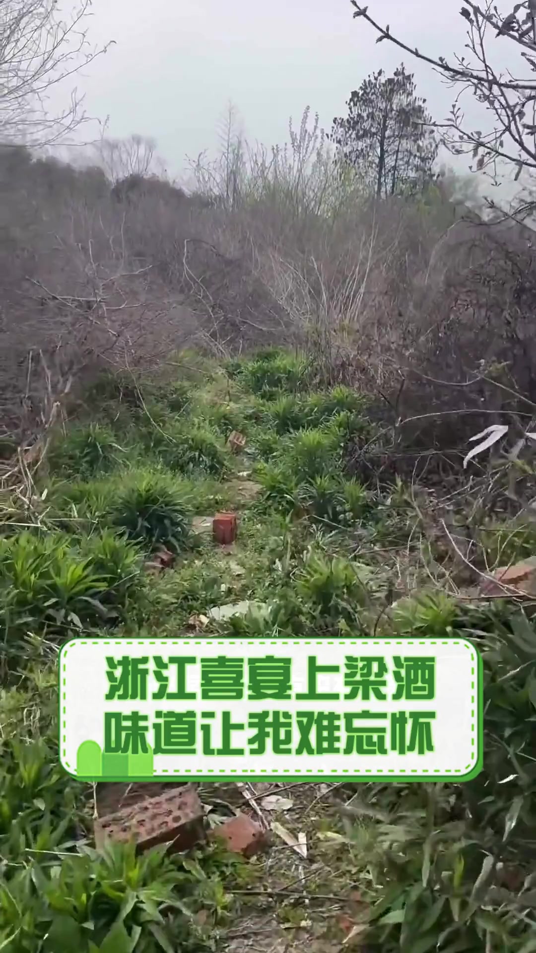 浙江喜宴上梁酒,味道让我难忘怀