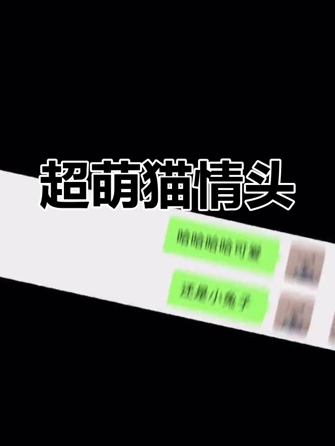 可爱猫咪情侣头像,甜蜜互动