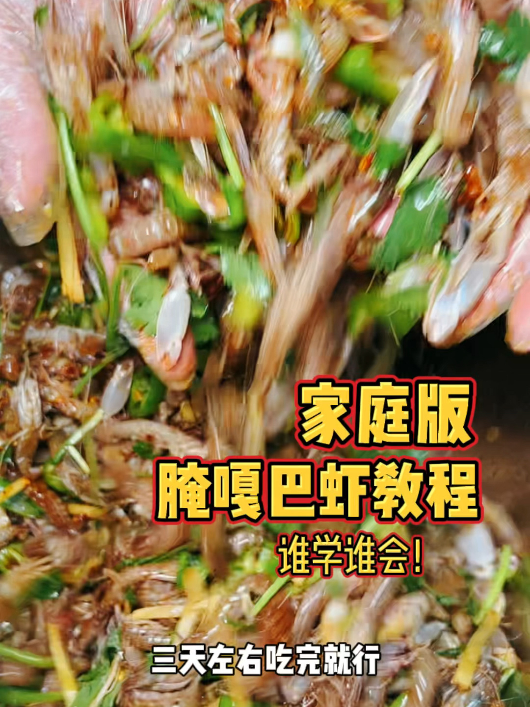 大连土著教你腌嘎巴虾 一学就会 一吃停不了