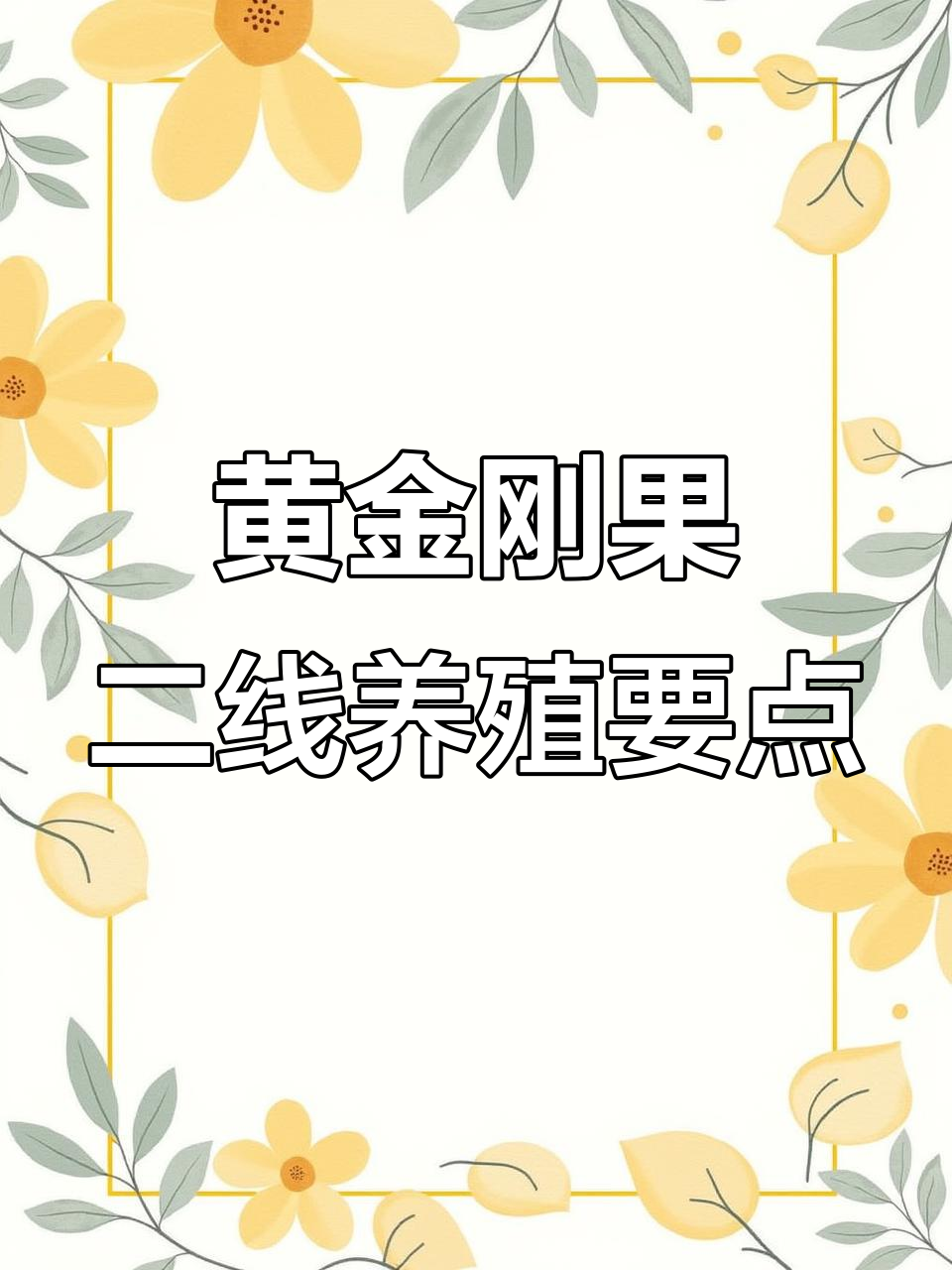 黄金刚果二线灯鱼养殖全攻略:水质、喂食与造景技巧