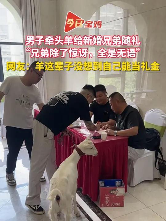 男子牵头羊给新婚兄弟随礼,“兄弟除了惊讶,全是无语” 网友:羊这辈子没想到自己能当礼金 宝