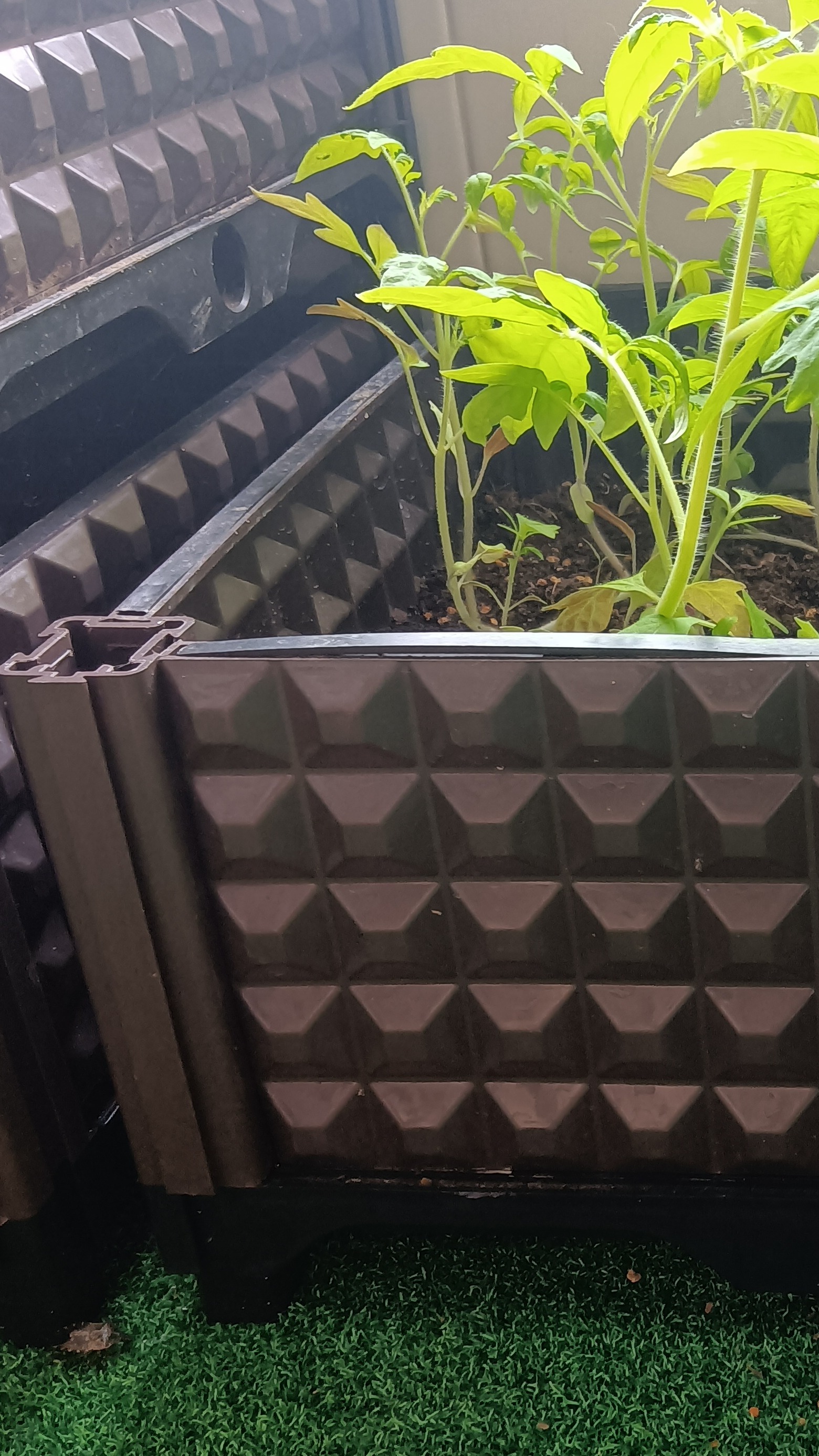 户外组合长方形塑料种植箱阳台庭院菜园育苗种菜箱花盆草莓种植槽