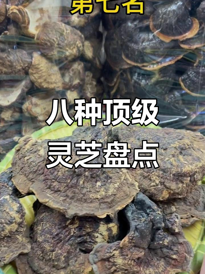 灵芝之王:八大名贵品种大揭秘