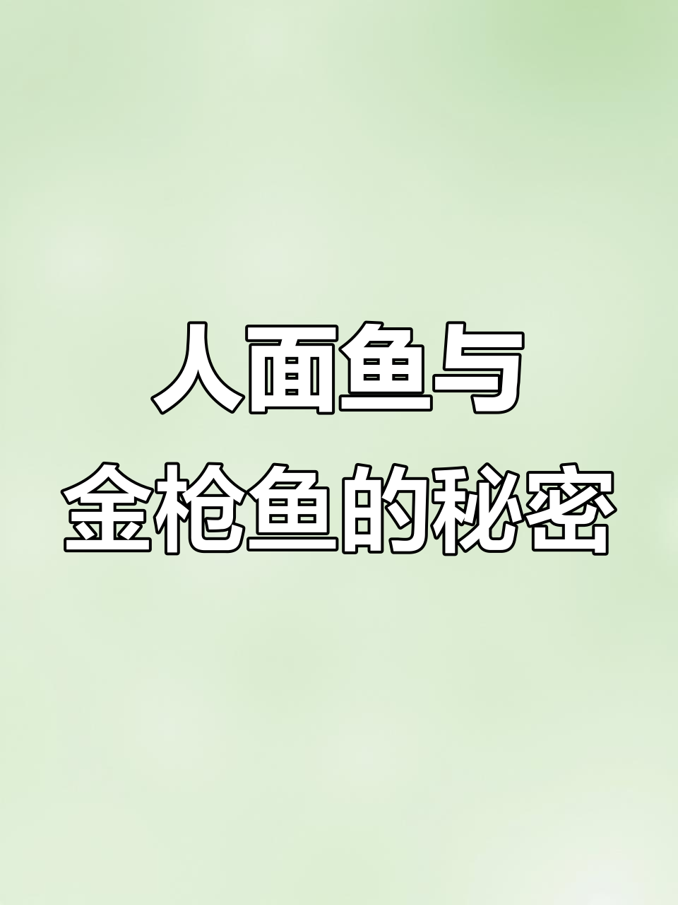 神秘海洋生物,人脸突额隆头鱼揭秘!