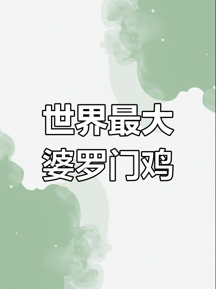 婆罗门鸡:世界上最大的观赏公鸡,价格惊人!
