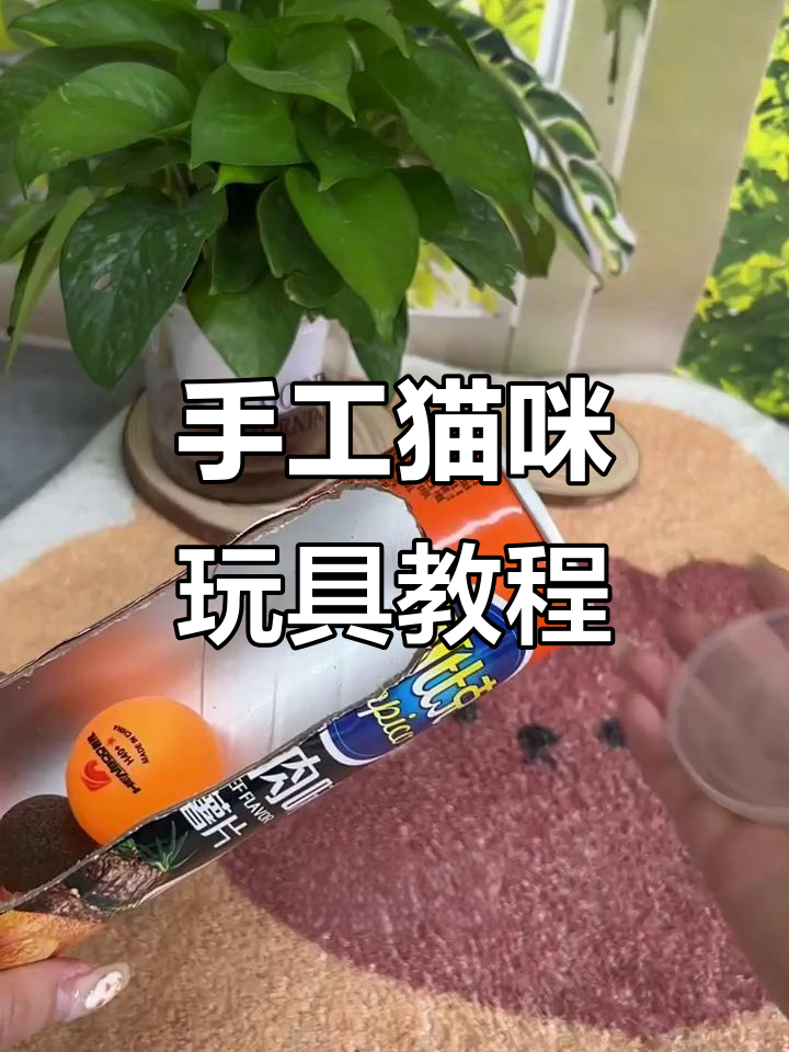 手残党也能做的猫咪玩具,简单又有趣
