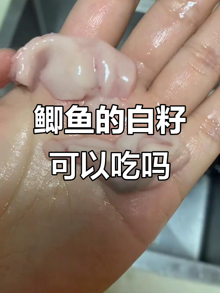 鲫鱼也能有白子?爸爸说这是美味,真能吃吗