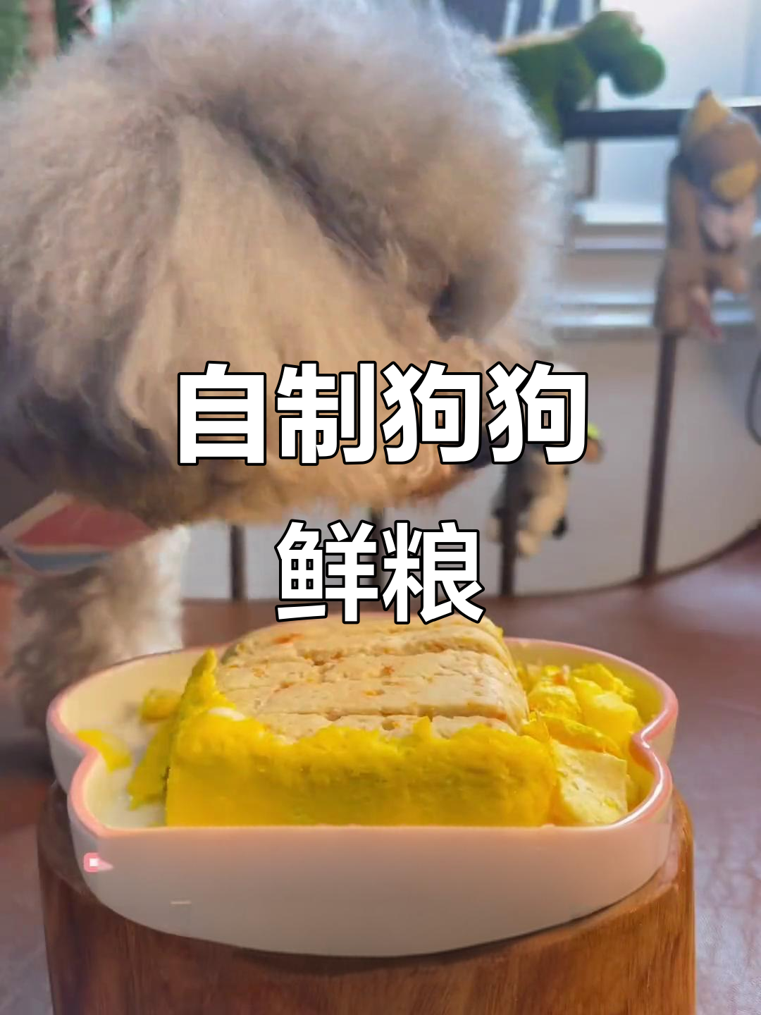 鸡肉胡萝卜狗饭,简单又营养