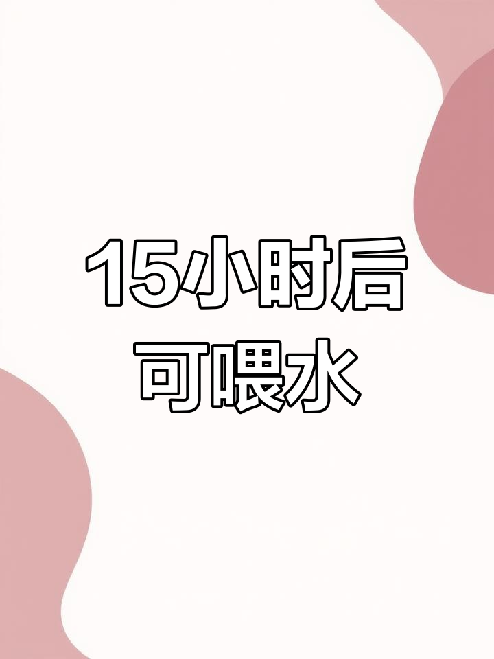 小鸡出壳后多久能喂食?