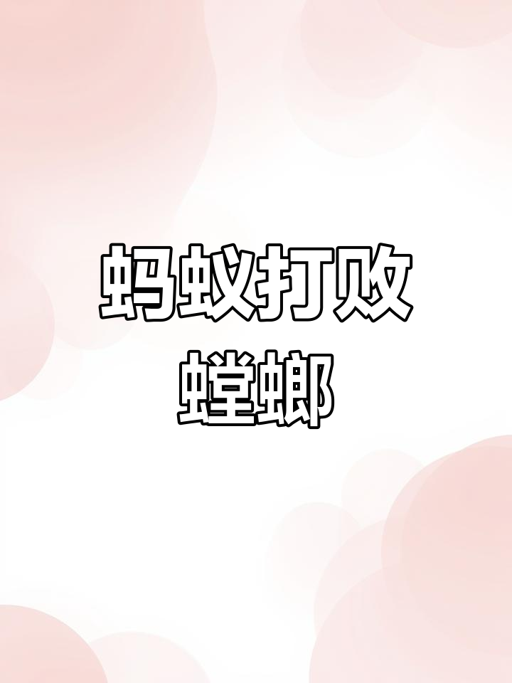 小蚂蚁挑战螳螂,竟然打赢了!