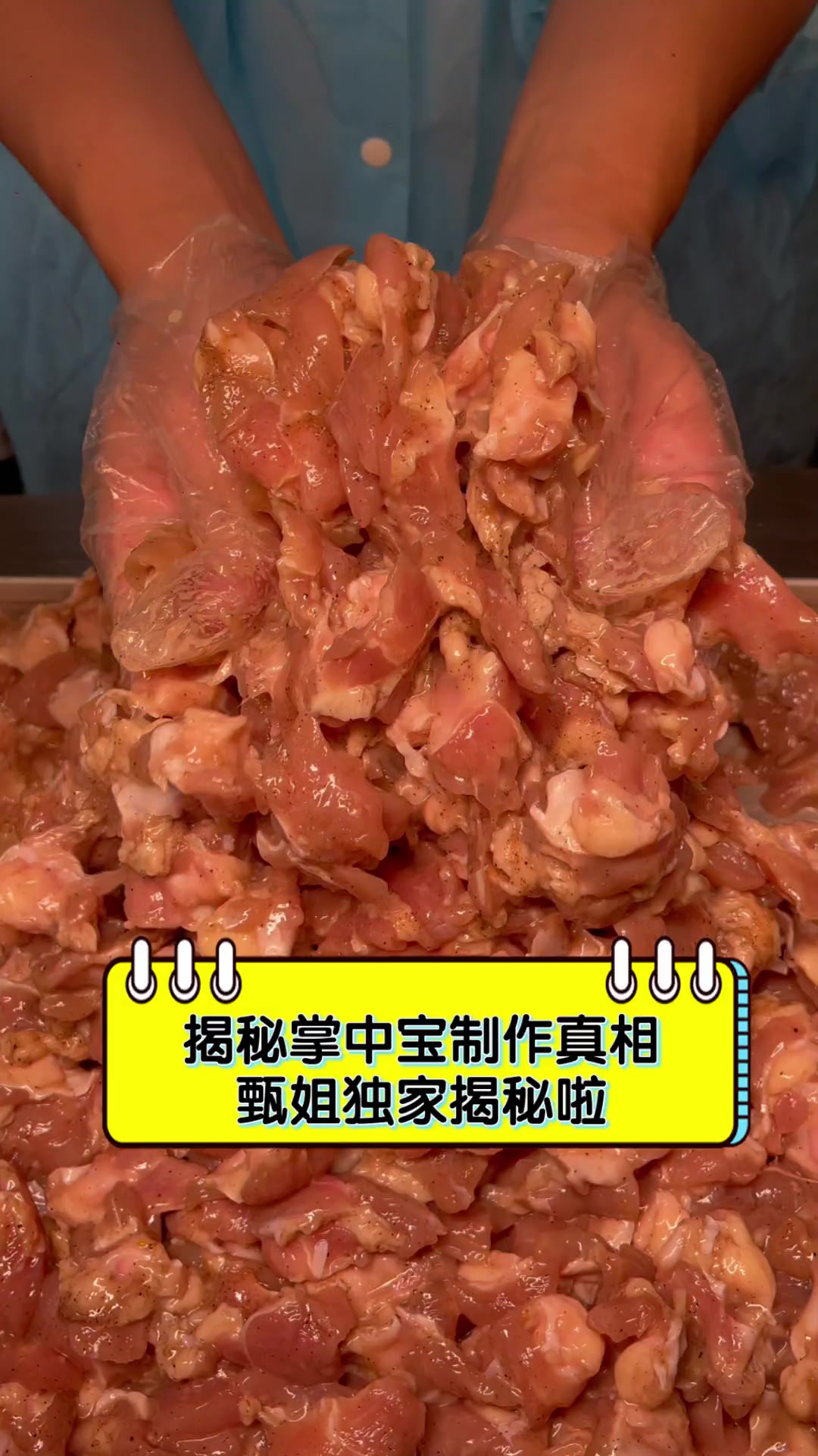 揭秘掌中宝制作真相,甄姐独家揭秘啦