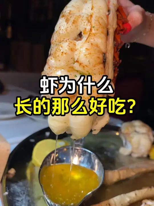 为什么虾长的这么适合被吃呢？