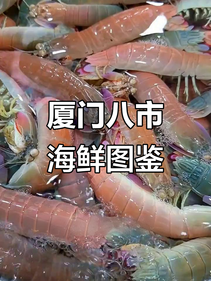 厦门八市海鲜大揭秘:皮皮虾、富贵虾与独特捕食技巧