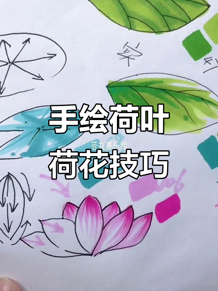 荷叶荷花手绘技巧大揭秘,马克笔渐变上色教程
