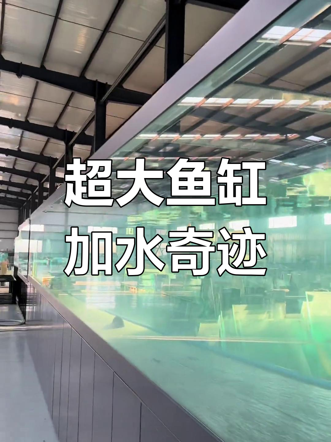 世界最大玻璃鱼缸加水全过程揭秘