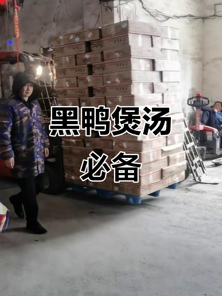 益客黑嘴麻鸭新货到,煲汤必选美味