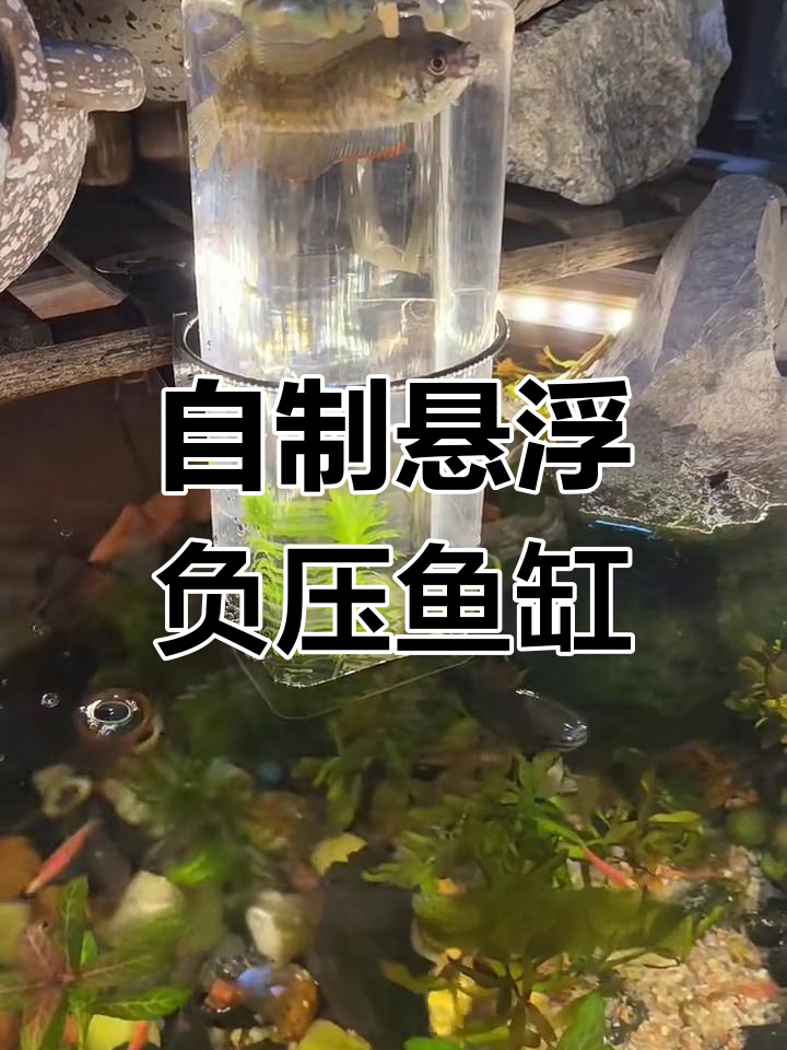 悬浮负压鱼缸制作揭秘,鱼儿飞得更高!