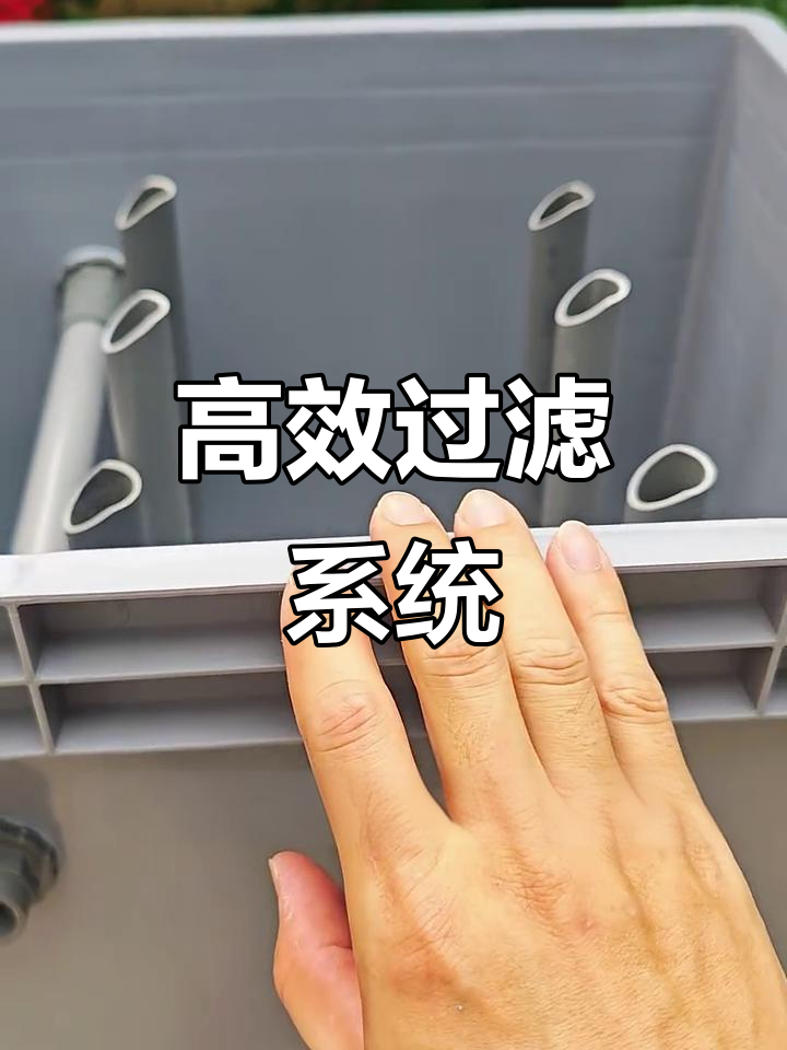 鱼池过滤系统，轻松应对粪便与杂物，省时又高效