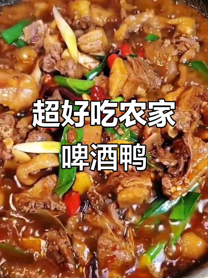 农家散养鸭，啤酒烧出绝味美味，米饭配不停