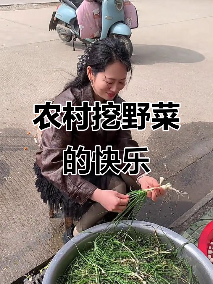 春天挖野菜，带你体验乡村生活的乐趣