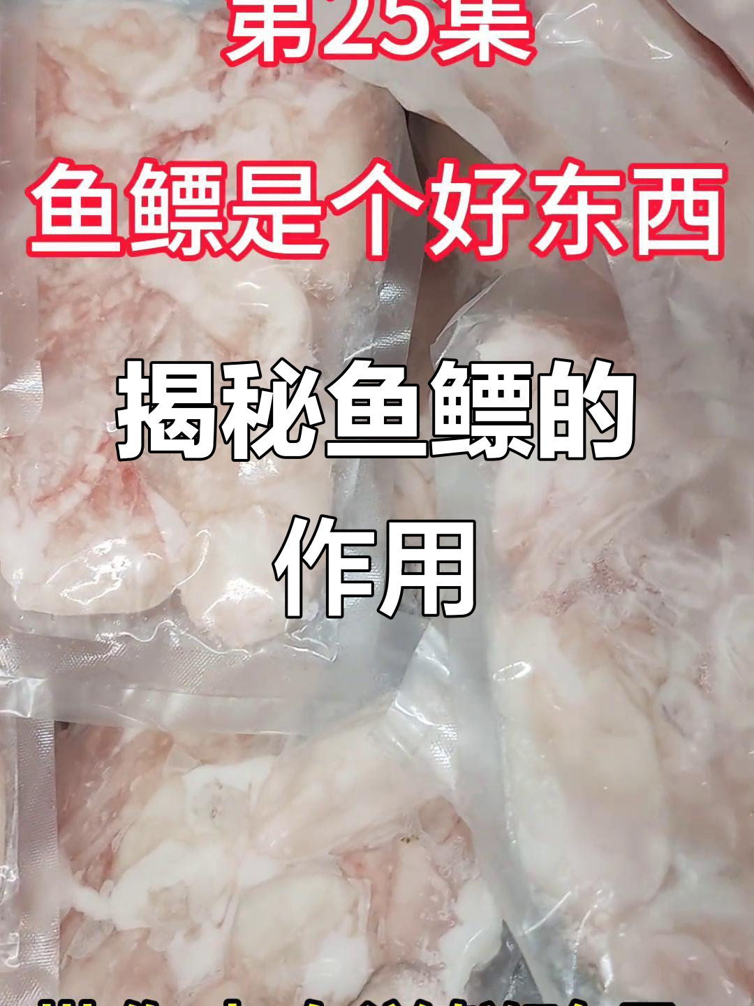 鱼鳔的秘密:你不知道的功能与作用