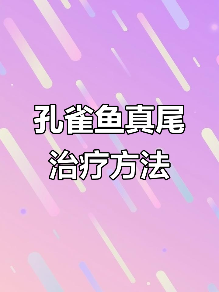 孔雀鱼针尾病治疗法，简单步骤教你快速恢复