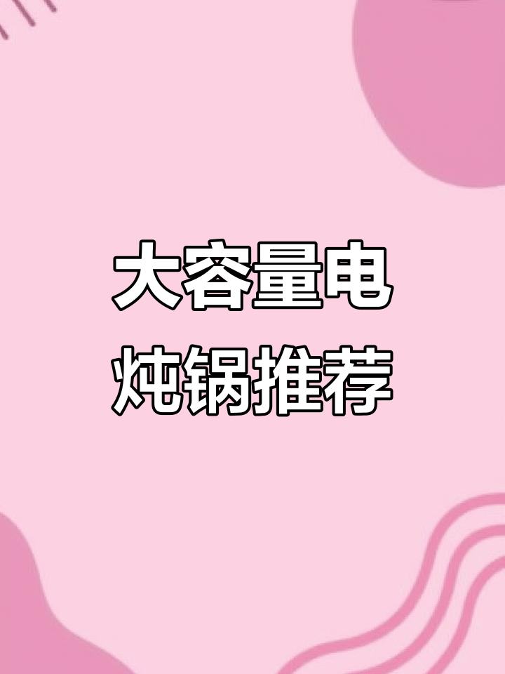 苏泊尔大容量电炖锅，防烫立体盖设计让汤更美味