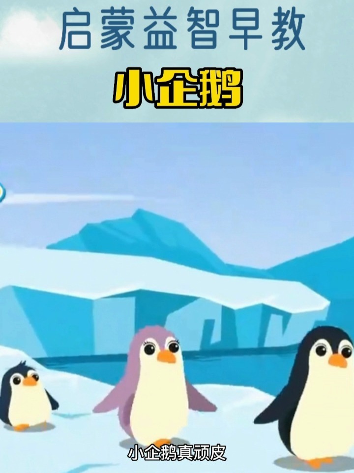 《小企鹅》宝宝启蒙益智早教儿歌