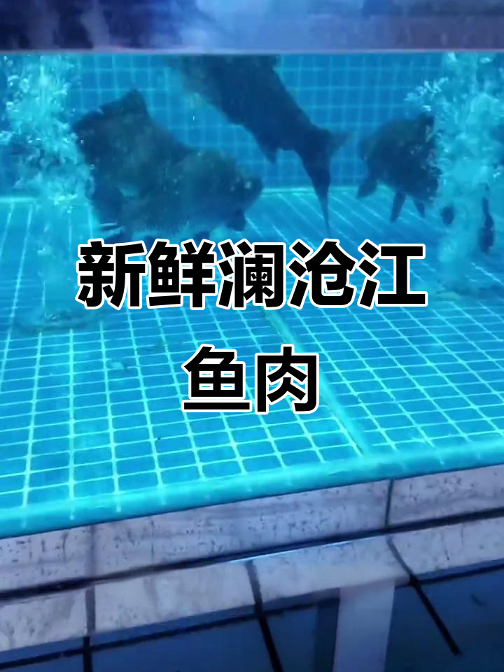 澜沧江鱼鲜活无比,水质清澈让人食欲大增