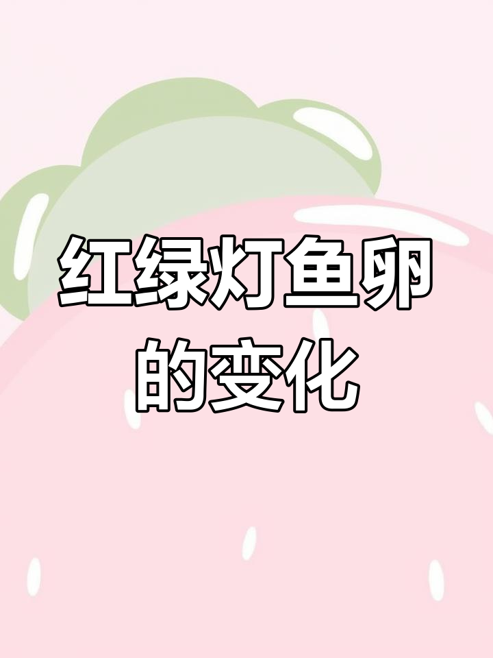 红绿灯鱼卵的显微变化,观察热带鱼的成长过程