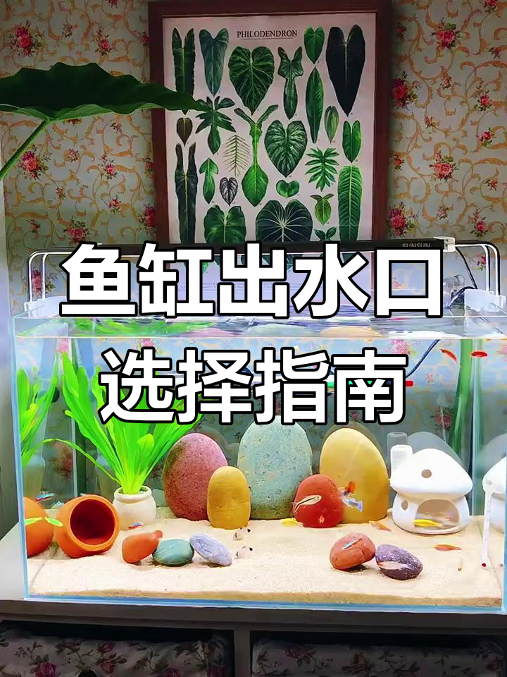 鱼缸出水口选鸭嘴还是雨淋管?底砂不乱的关键