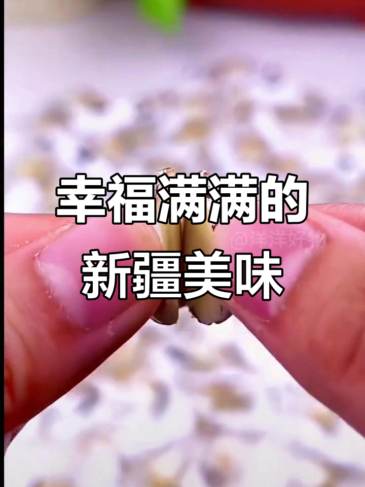 新疆风味,酸奶包裹,一口下去幸福感爆棚!