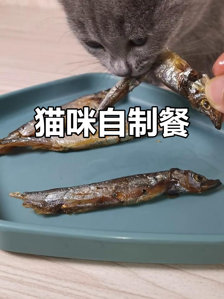 自制猫饭全攻略,轻松做多春鱼干零食