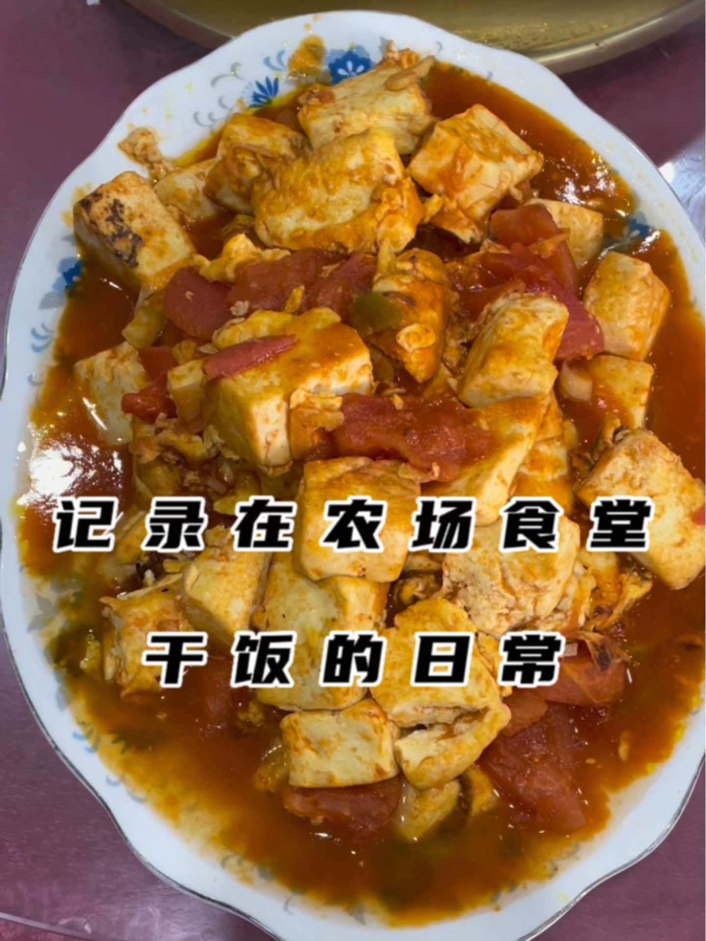 今日份农场午餐来咯,人间烟火气 生活vlog日常记录 记录真实生活 在平凡日子里热爱生活