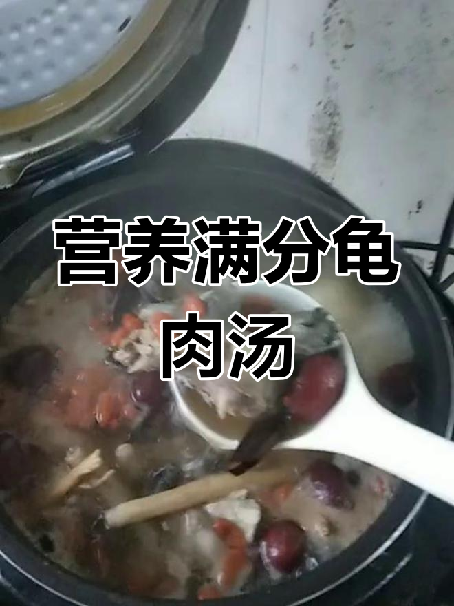 灵芝枸杞乌龟排骨汤,滋补又美味