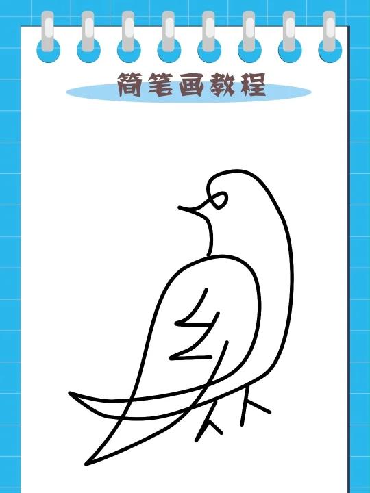 小鸟简笔画