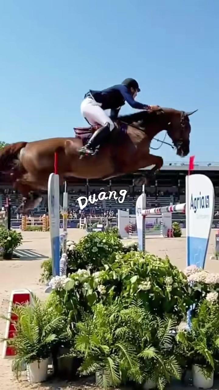 小动物大力量—动物肌肉秘密 动物 小身材大力量 神奇动物在哪里 科普 肌肉科学