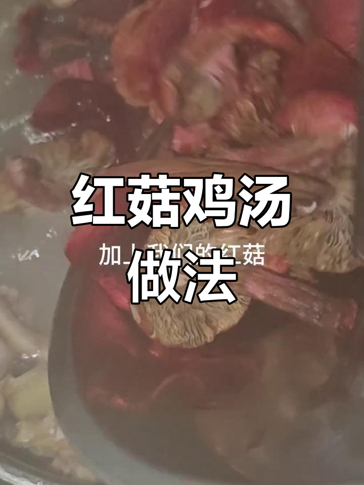 简单红菇鸡汤,家常美味,轻松上手!